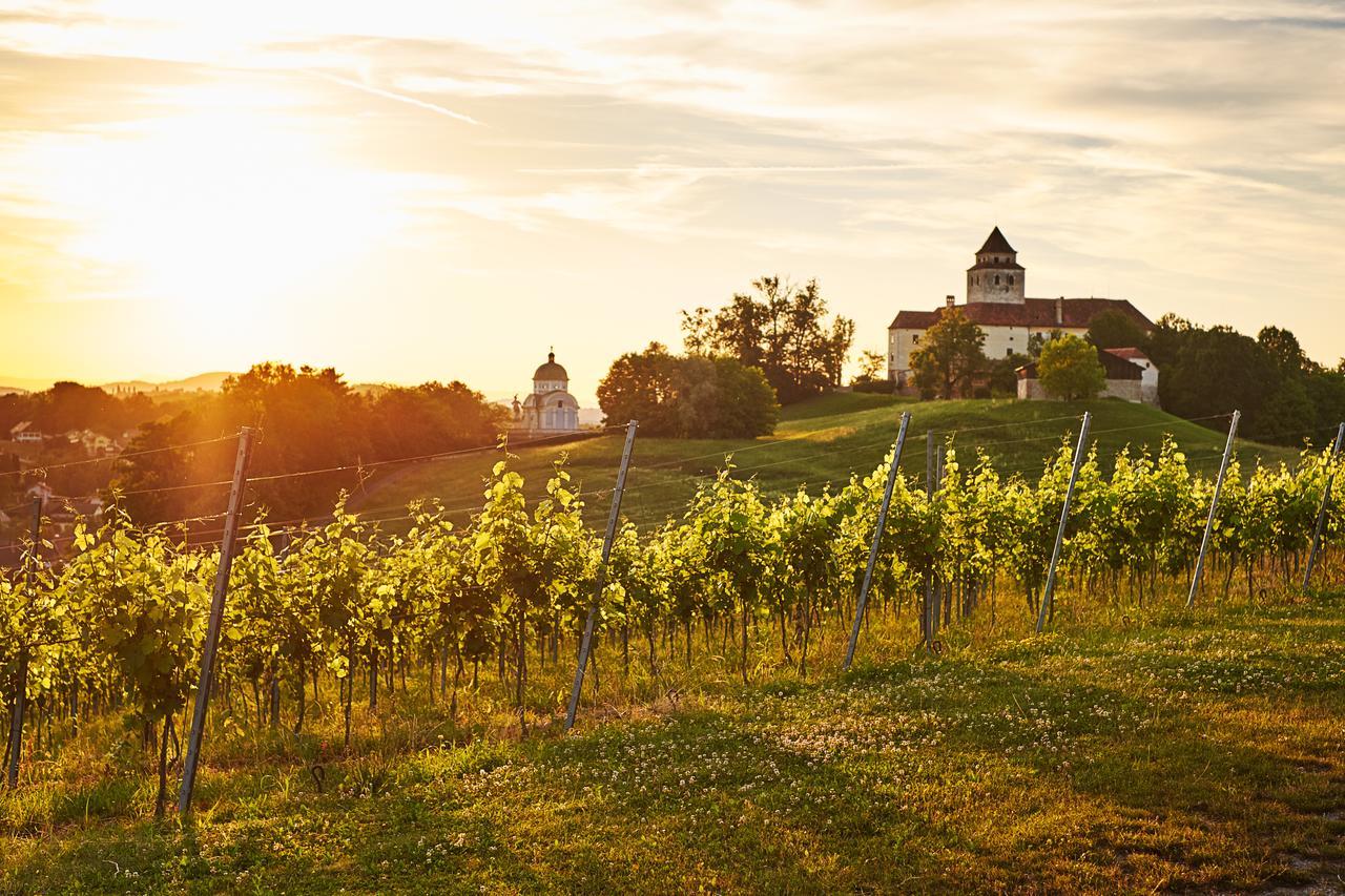 Loisium Wine & Spa Hotel Suedsteiermark Ehrenhausen Dış mekan fotoğraf