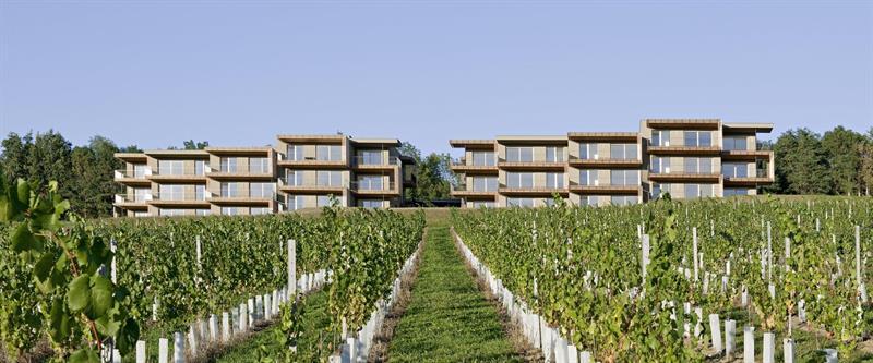Loisium Wine & Spa Hotel Suedsteiermark Ehrenhausen Dış mekan fotoğraf